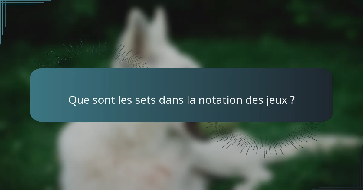 Que sont les sets dans la notation des jeux ?