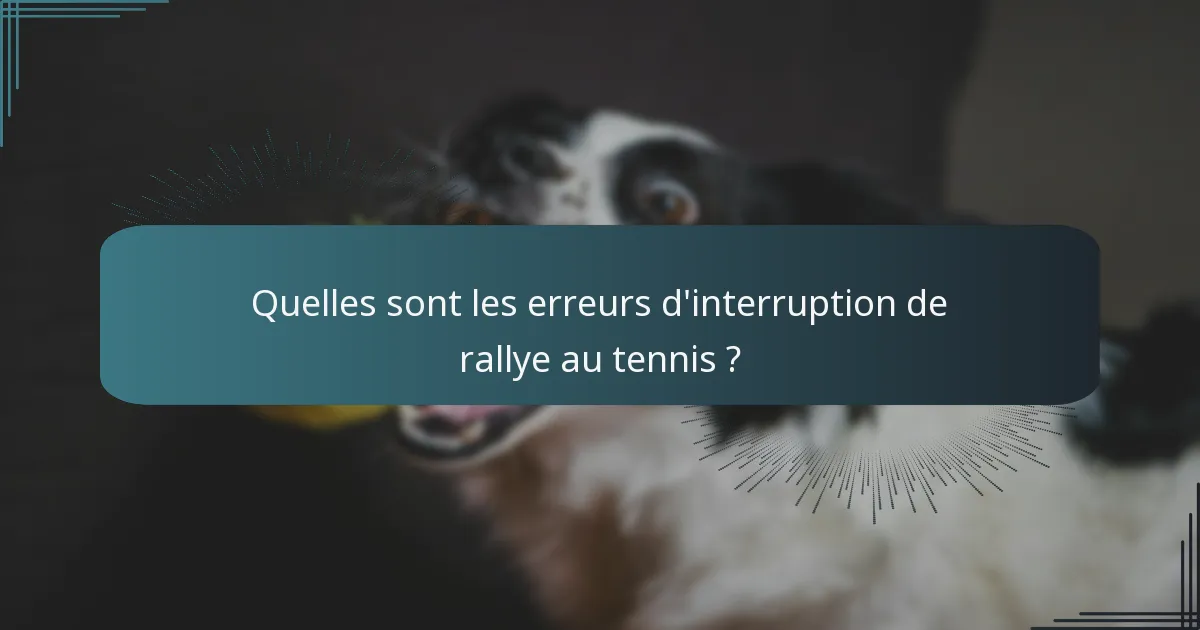 Quelles sont les erreurs d'interruption de rallye au tennis ?