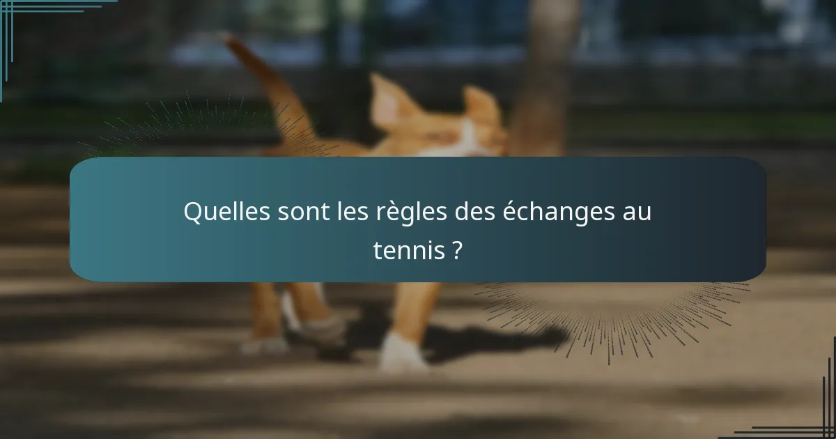 Quelles sont les règles des échanges au tennis ?